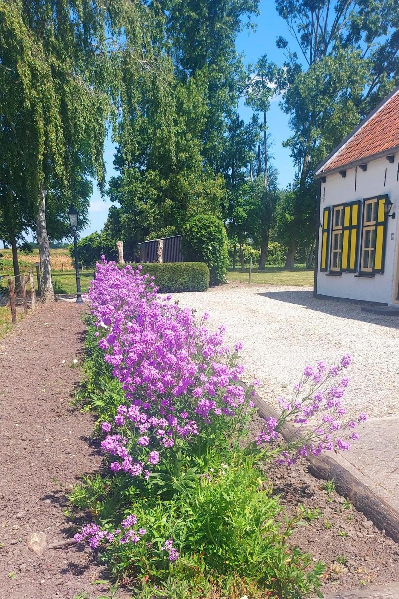 De Nieuwe Stal * Scherpenisse